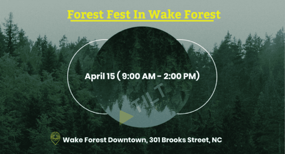 Forest Fest in Wake Forest
