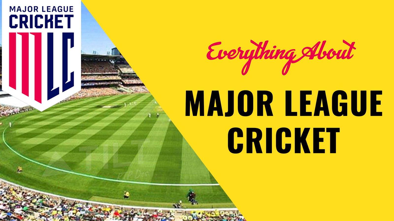 Everything About Major League Cricket - Triangle Tilt